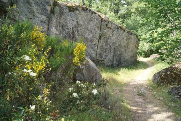 Casa Rural Cabeza Lobera ビジャヌエバ・デ・アビラ エクステリア 写真